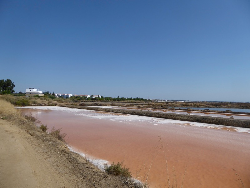 Salt pans towards Tavira