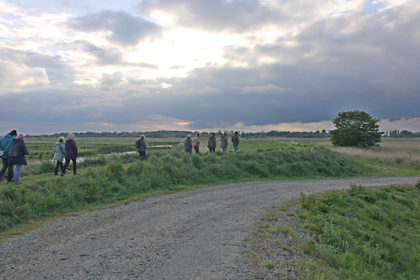 Carlton Marshes